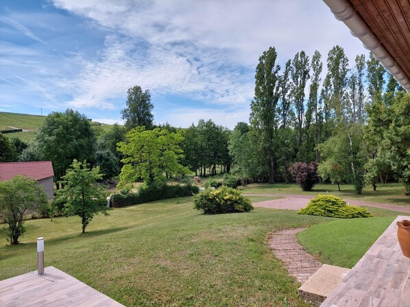 House | Garden - Family Getaway Near the French Vineyards (Sury-en-Vaux)