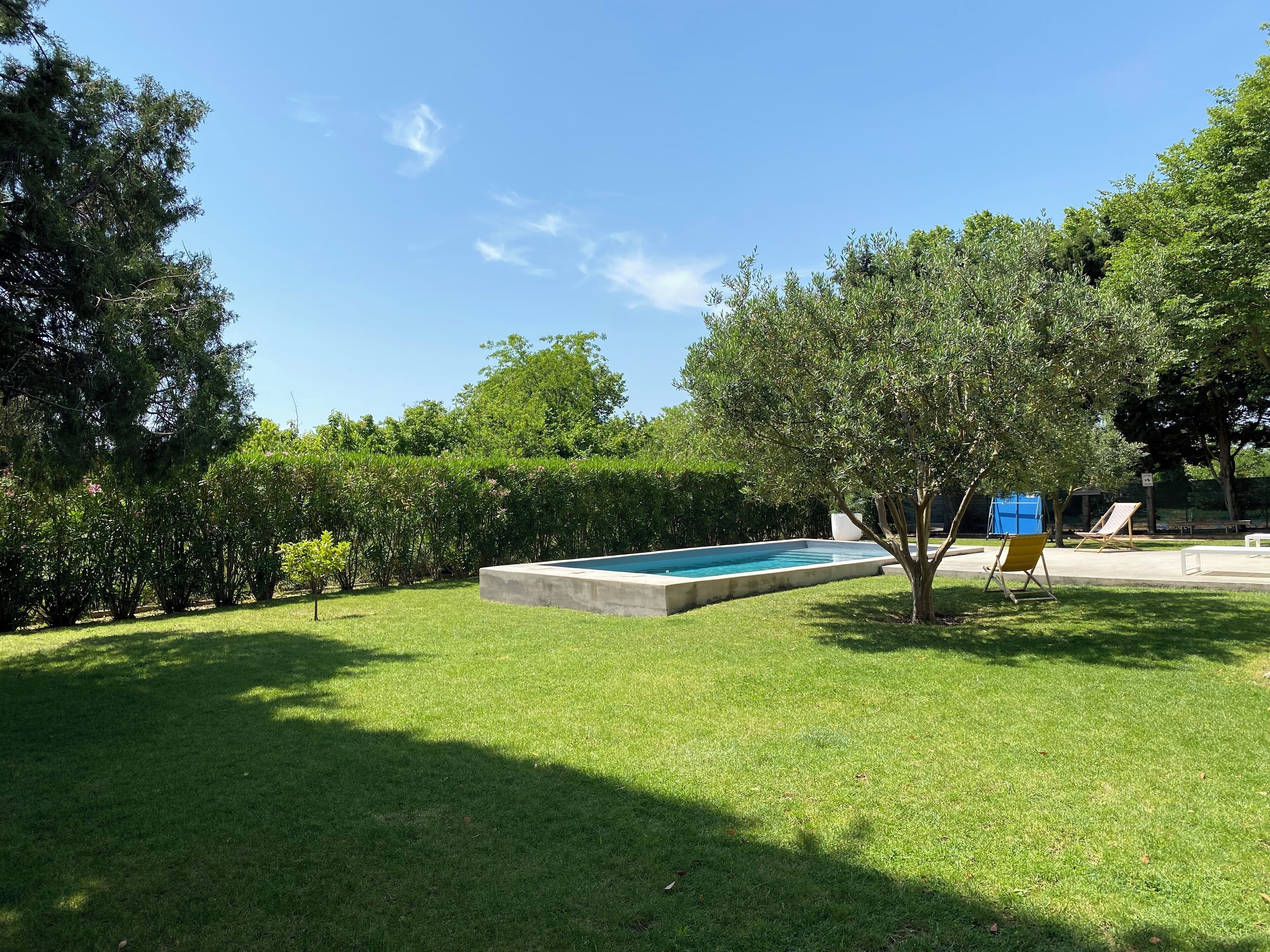 Una piscina rodeada de césped y árboles bien cuidados, con un banco y un recipiente azul cerca.