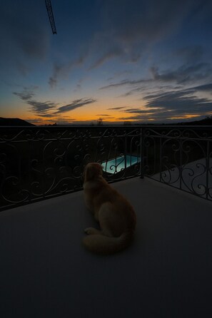 Área da propriedade