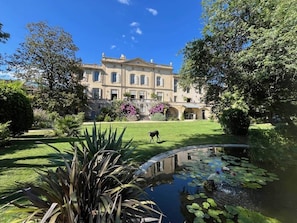 A large building with a symmetrical facade, a pond with lily pads, and a dog walking in the foreground.