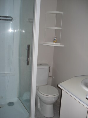 Secadora de cabello y papel de baño 
