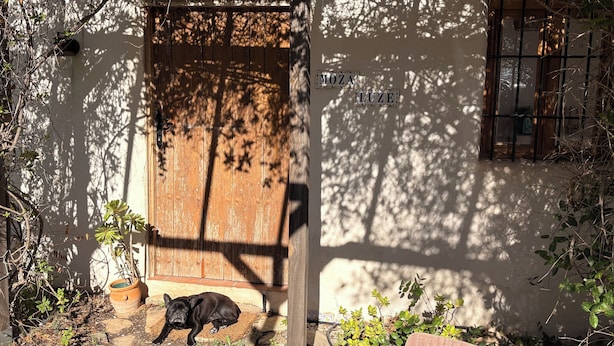 A rustic wooden door with a dog lying outside, surrounded by greenery and a wall with the name "MOZA LUZ" visible.