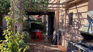 Ein schmaler Ziegelweg führt zu einer hölzernen Pergola mit violetten Blumen, einem roten Tisch und einem Grillbereich mit Besteck.
