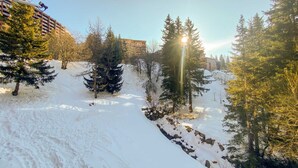 Ett snötäckt utomhusområde med träd och en byggnad i bakgrunden.