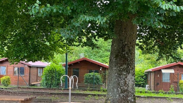 A rustic wooden cabin with a metal fence, a picnic table, and a large tree in the foreground.