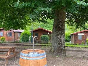 Una cabaña de madera rústica con cerca de metal, una mesa de picnic y un árbol grande en primer plano.