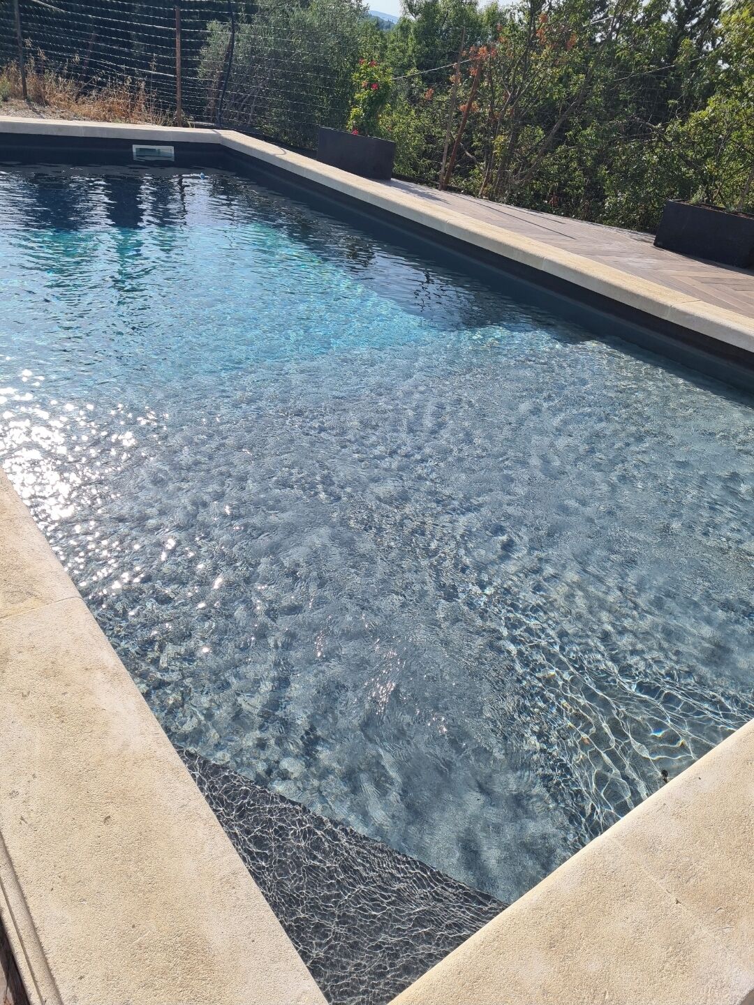 A clear swimming pool with a tiled edge, surrounded by a fence and greenery.