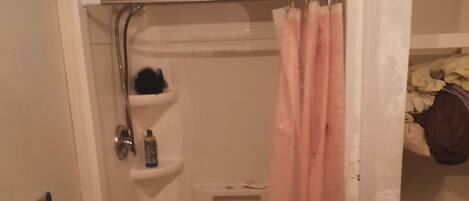 Shower, towels, toilet paper