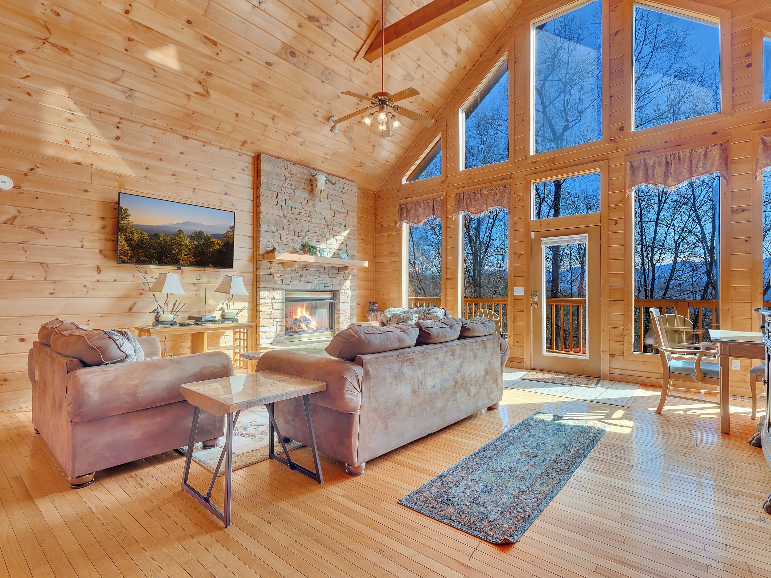 Smart TV, fireplace, video games, DVD player