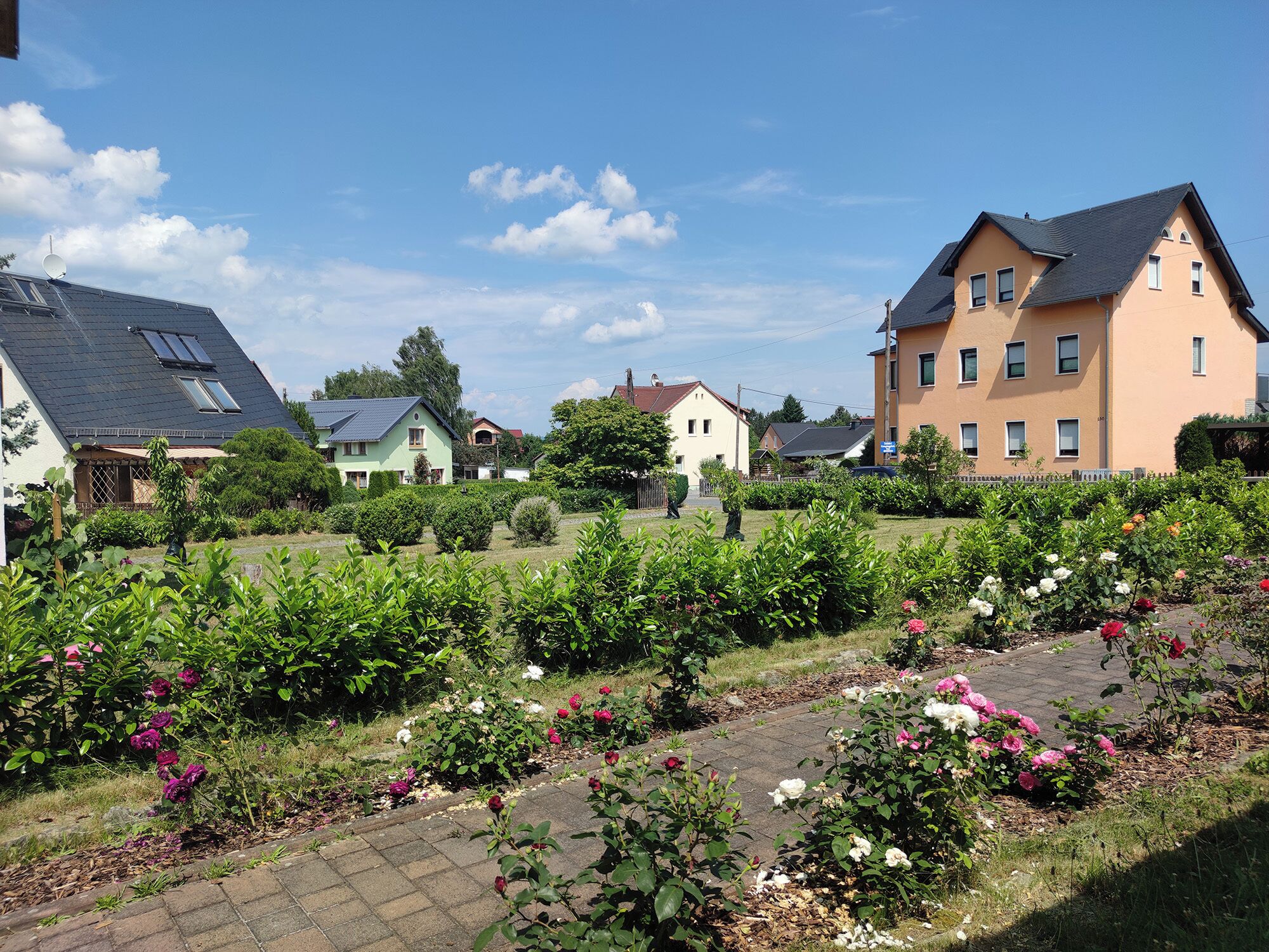 Ein Wohngebiet mit Häusern, einem Rosengarten und einem gepflasterten Weg.