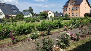 Un quartier résidentiel avec des maisons, un jardin où poussent des rosiers et un chemin piétonnier dallé.