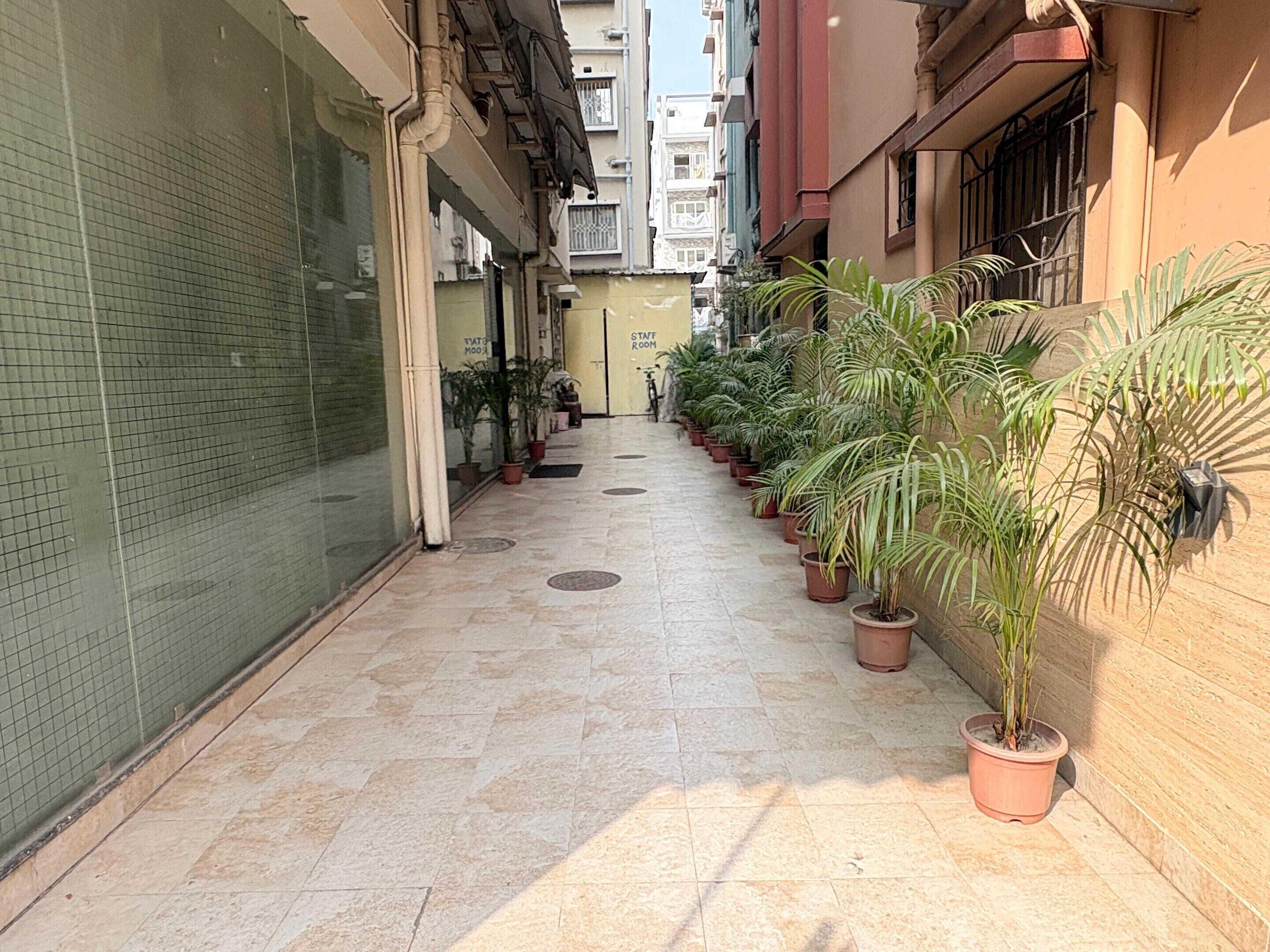 House | Property grounds