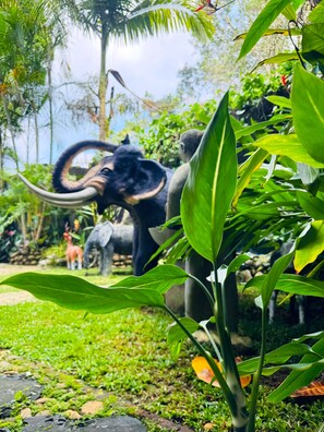 Enceinte de l’hébergement