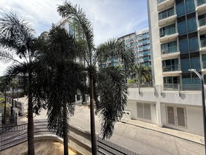 Vista del balcón