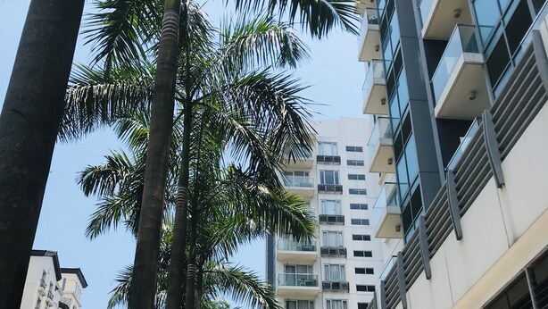 A street lined with palm trees and modern buildings, including a medical facility. - One Palm Tree Villas Across MNL Airport T3 (Pasay)