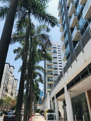 Calle bordeada por palmeras y edificios modernos, incluyendo un centro médico.