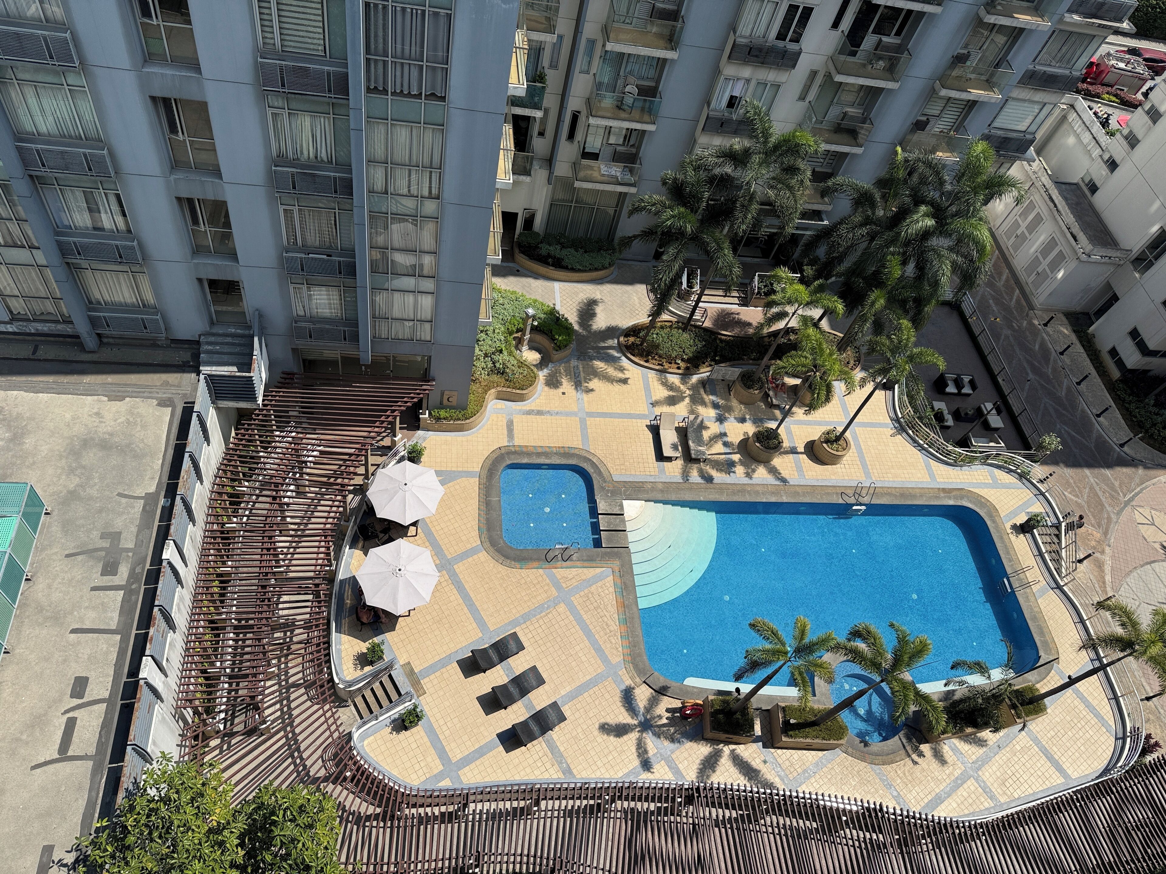 A rooftop pool area with lounge chairs, umbrellas, and palm trees.