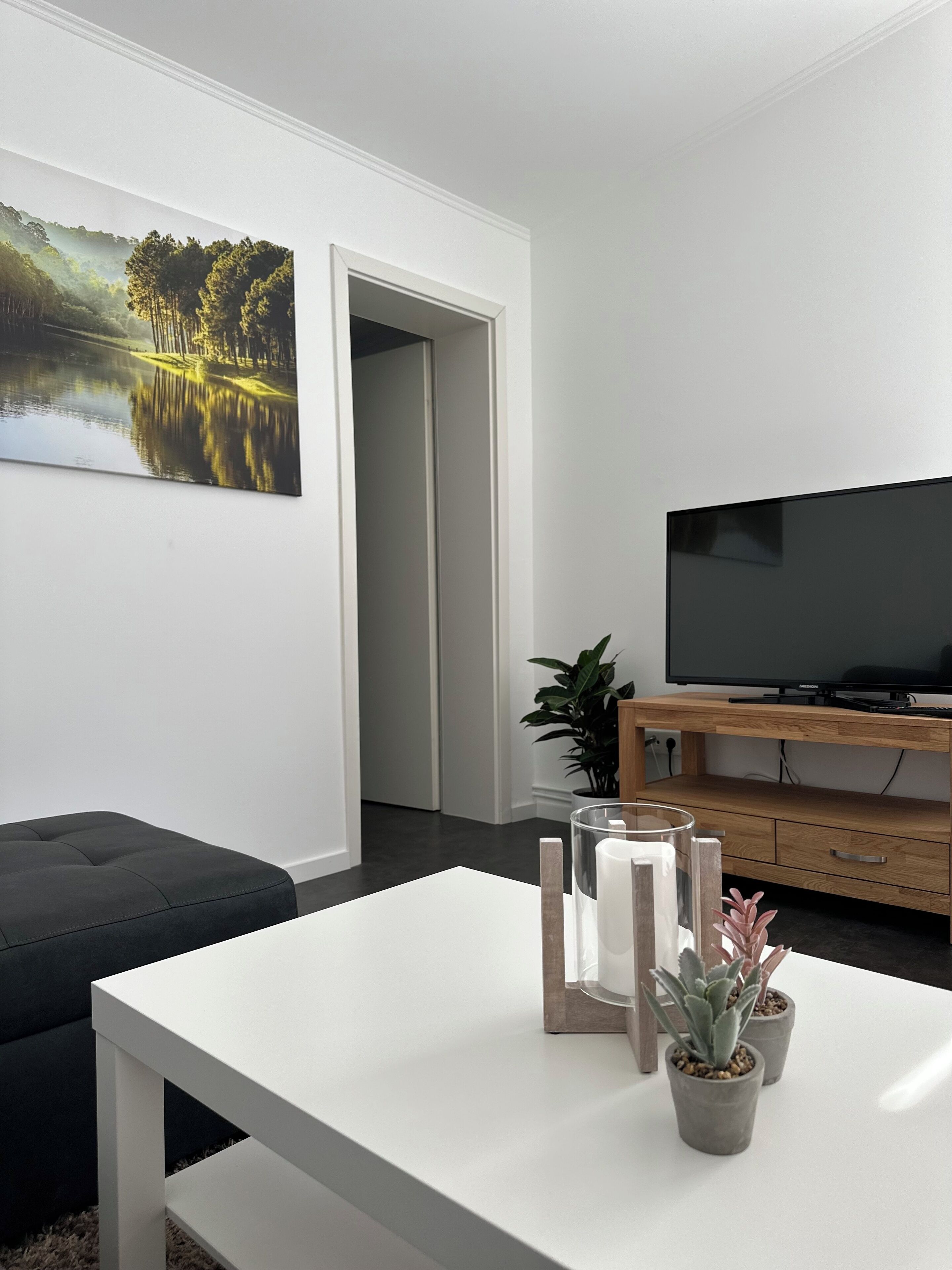 Fernseher