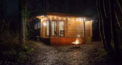 Log cabin in private woodland with lake