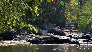 ์คํ ๋ค๋ ๋๋ธ๋ฃธ ๋๋ ํธ์๋ฃธ, ์ ์ ์ ๋ง | ๊ธฐํ