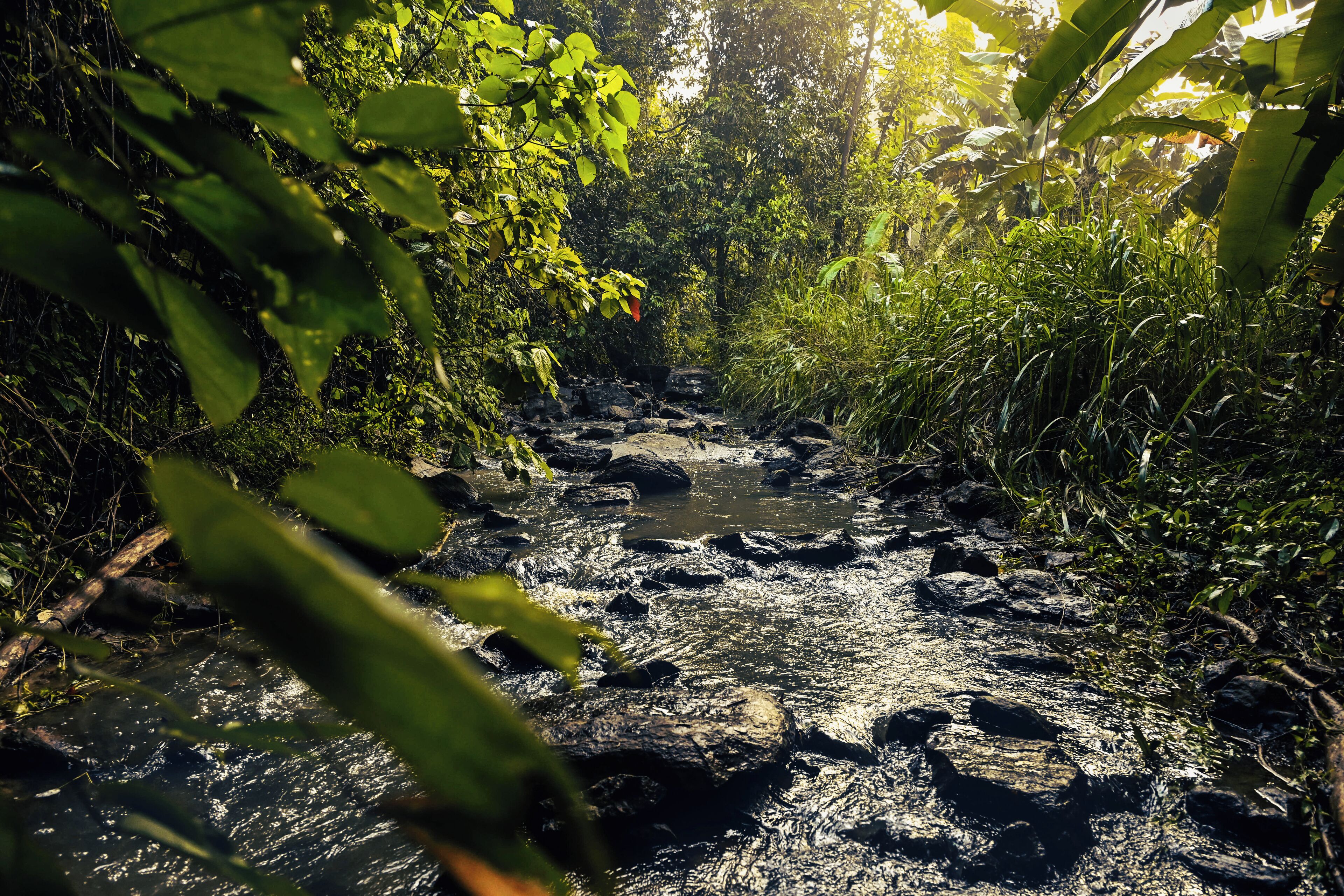 Standard Double or Twin Room, Garden View | Miscellaneous