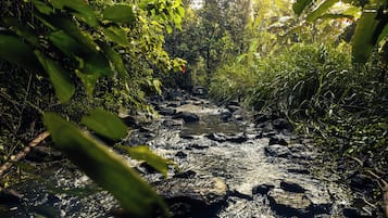 Habitación estándar con 1 cama matrimonial o 2 individuales, vista al jardín | Imagen general