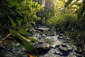 Habitación estándar con 1 cama matrimonial o 2 individuales, vista al jardín | Imagen general