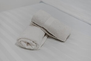 Regadera, secadora de cabello, bidet, toallas 