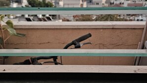 Una ventana con persianas horizontales, vista de un paisaje urbano con edificios y una torre distante, y una planta en el alféizar.