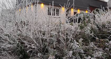 South1 - Peace and quiet between Moselle and HunsrĂŒck