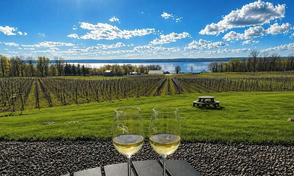 Property grounds - Private Beach with Views: Stonehouse Estate, Near Wine Trail and Spa (Aurora)