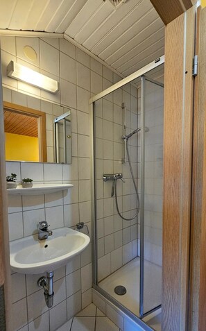 Secador de pelo, toallas y papel higiénico