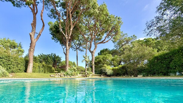 Une piscine aux eaux cristallines, entourée d’une végétation luxuriante et de grands arbres.