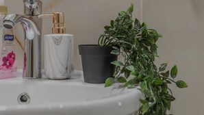 A bathroom sink with a chrome faucet, a marble soap dispenser, a black soap dish, and a potted plant. - La casa di Gio'- Apartamento Rustico Legno (CALTANISSETTA)