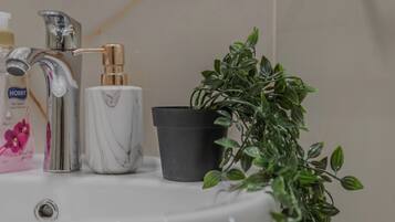 Shower, hair dryer, bidet, towels