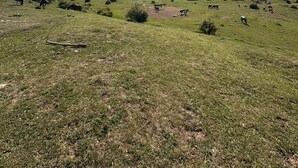 Un campo cubierto de hierba con una montaña al fondo y el sol brillando intensamente.