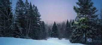 Cozy quiet 1-bedroom cabin in marvelous Oakfield with heat!
