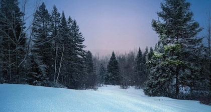 Cozy quiet 1-bedroom cabin in marvelous Oakfield with heat!