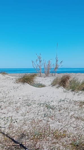 On the beach, sun loungers - Casa d'Emma (Linguizzetta)