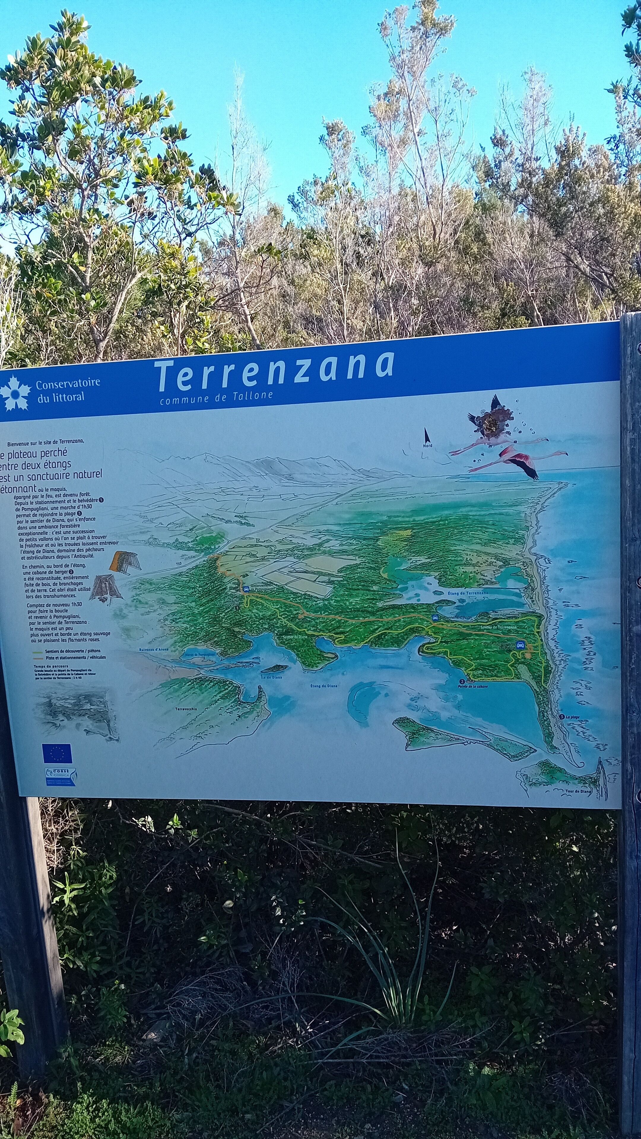 A signboard with a map and text describing Terrenzana, a natural park and beach area.