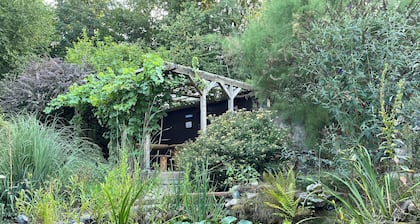 Spacious, barrier-free, modern 4-star vacation apartment, directly on the edge of the forest