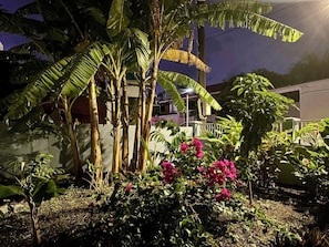 Property grounds - Spacious seafront house with 4-bedroom in serene Pointe-Noire for family&friends (Pointe-Noire)