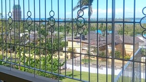 Un balcón con baranda metálica y vista a una zona residencial con casas y palmeras.