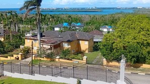 Zona residencial con casas, una palmera y vistas al océano.