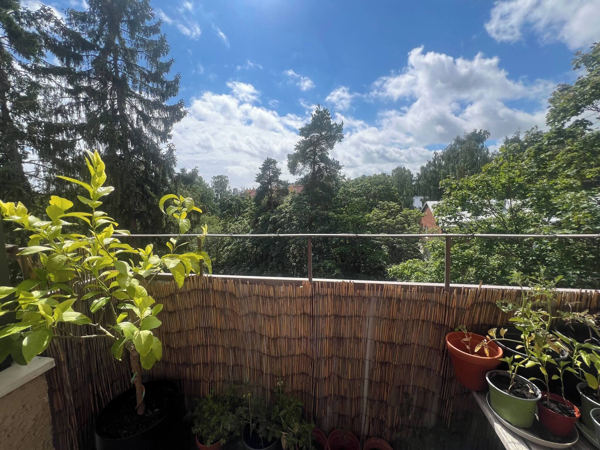 Apartamento, 2 quartos, sacada, vista para a cidade | Jardim