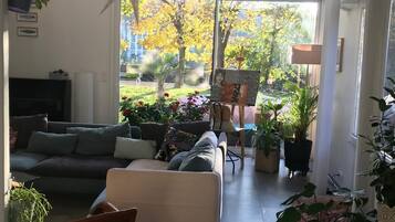 TelevisiĂłn, chimenea