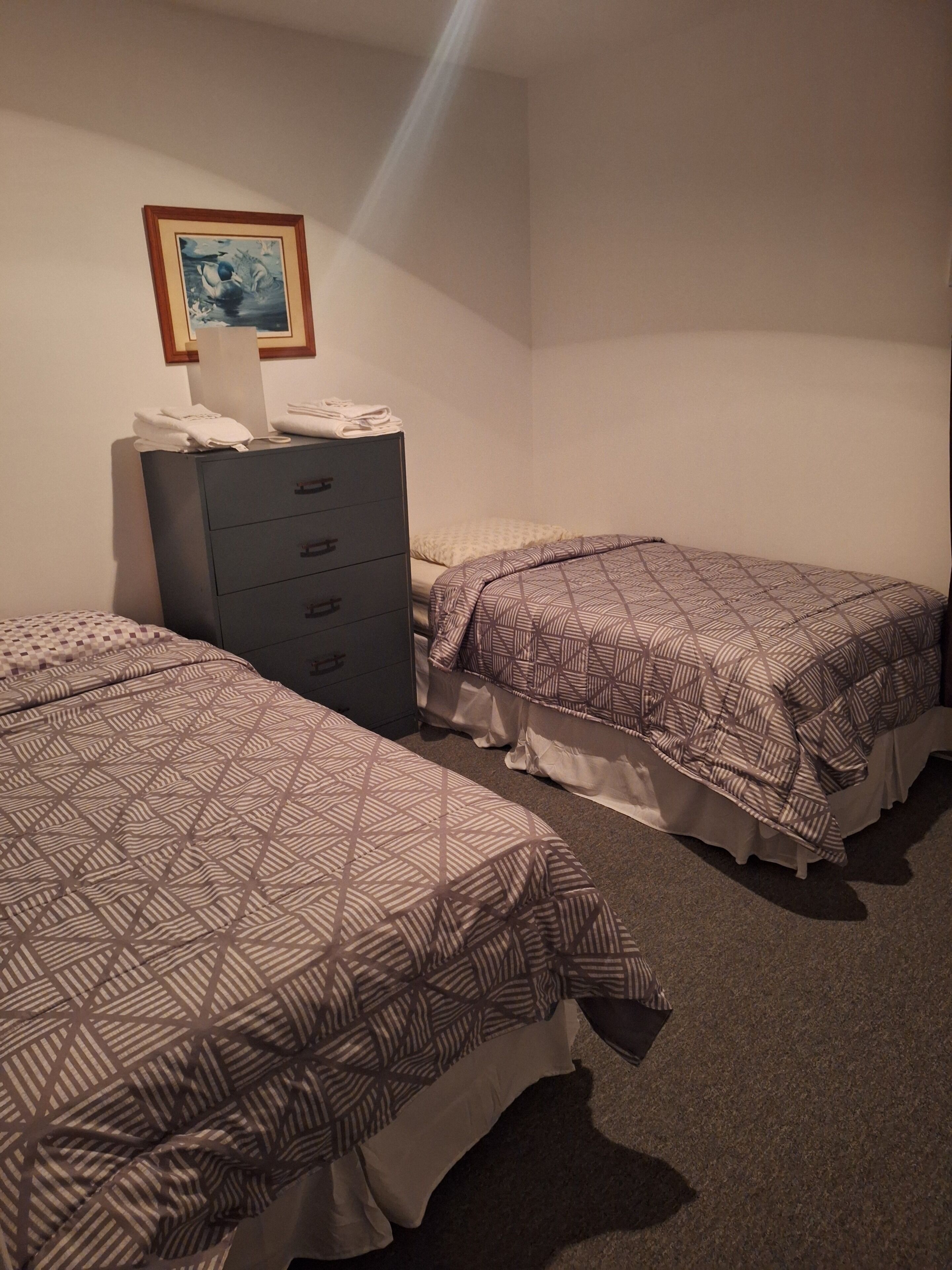 Basic Double or Twin Room | Iron/ironing board, free WiFi