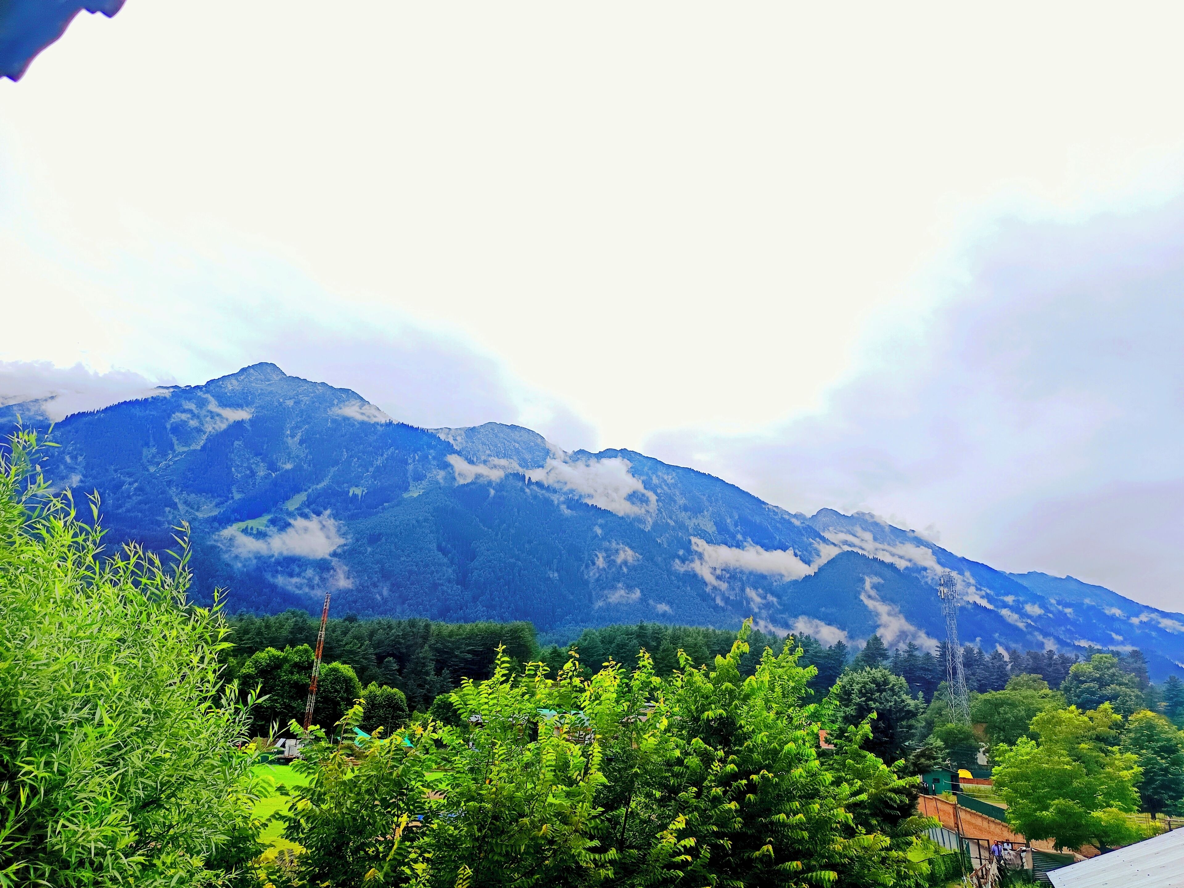 Standard Triple Room, Hill View | Meja 