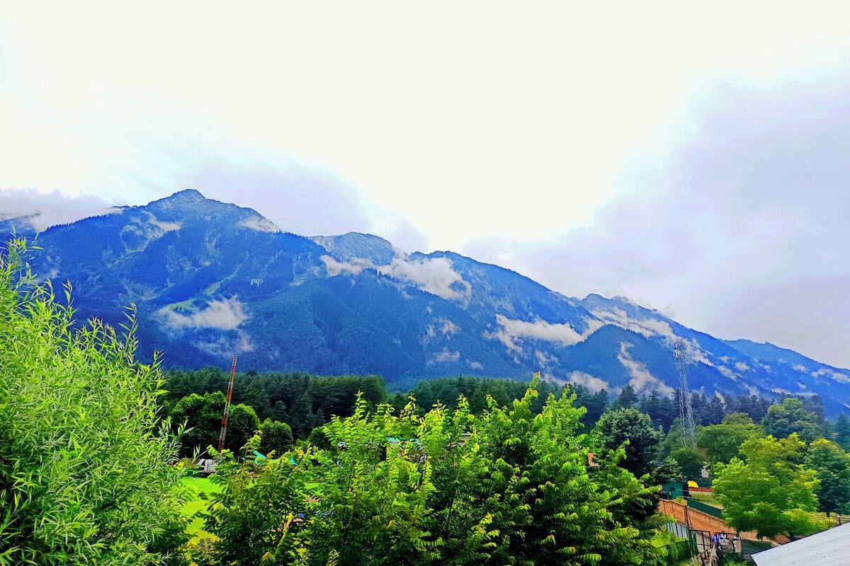 A mountain landscape with dense forest in the foreground and a clear sky.