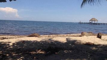 Estudio, cocina básica, vistas a la playa | Playa | Ubicación a pie de playa, arena blanca y toallas de playa